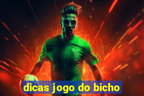 dicas jogo do bicho